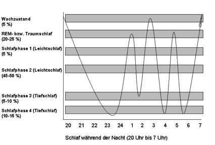 Schlaf-Wach-Phasen